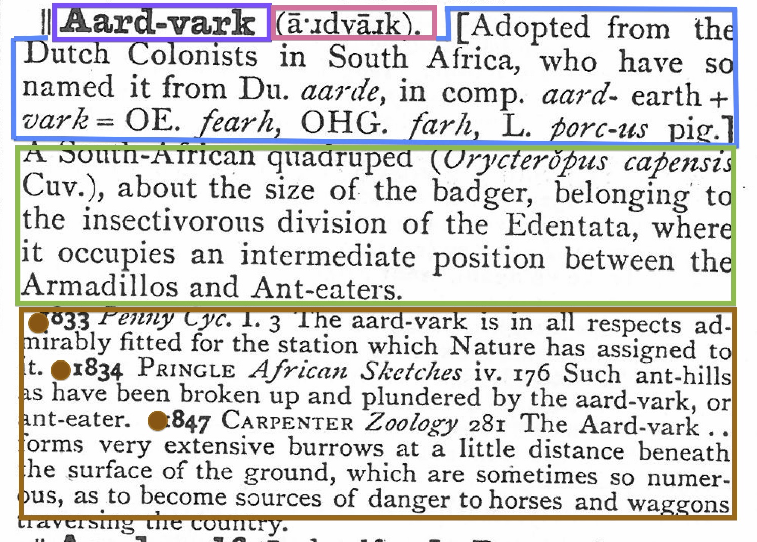 Aardvark_structure